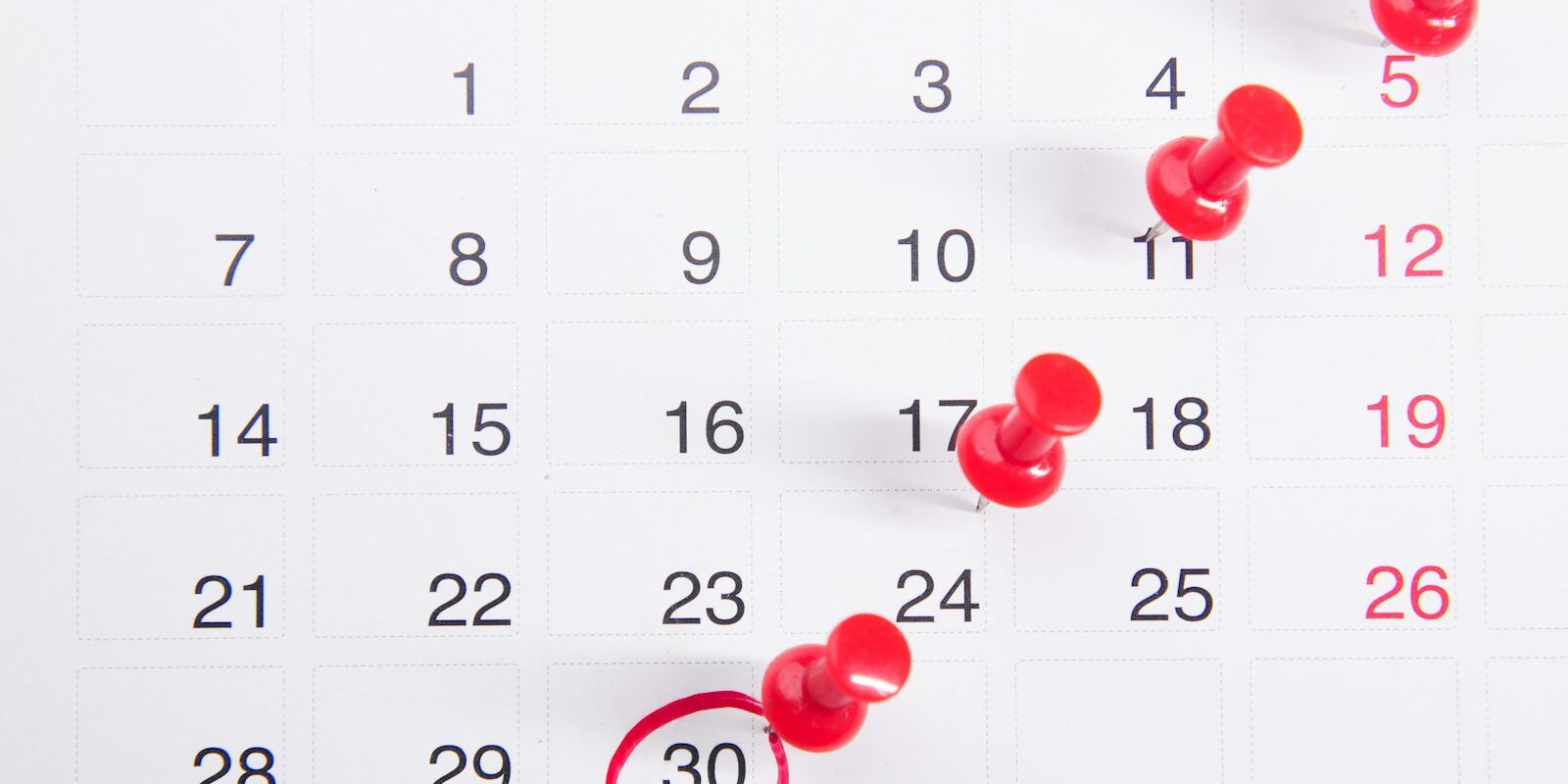 Calendário de férias do servidor público — conversão em pecúnia servidor público