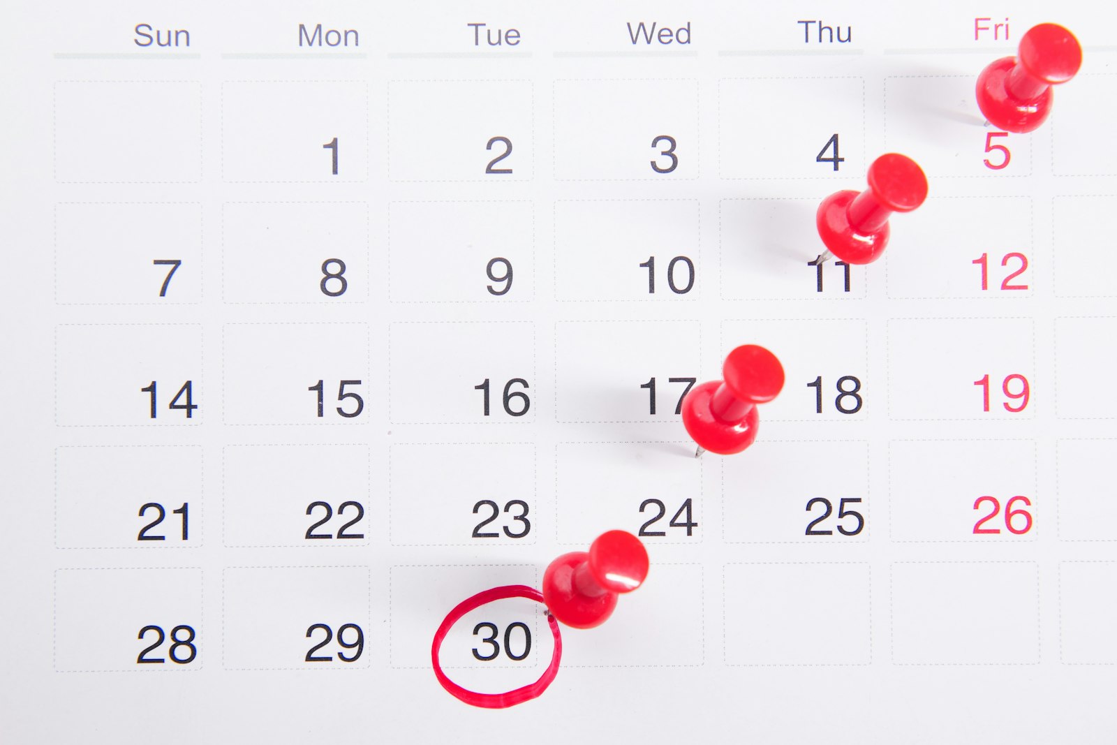 Calendário marcando o prazo para defesa no PAD do servidor público